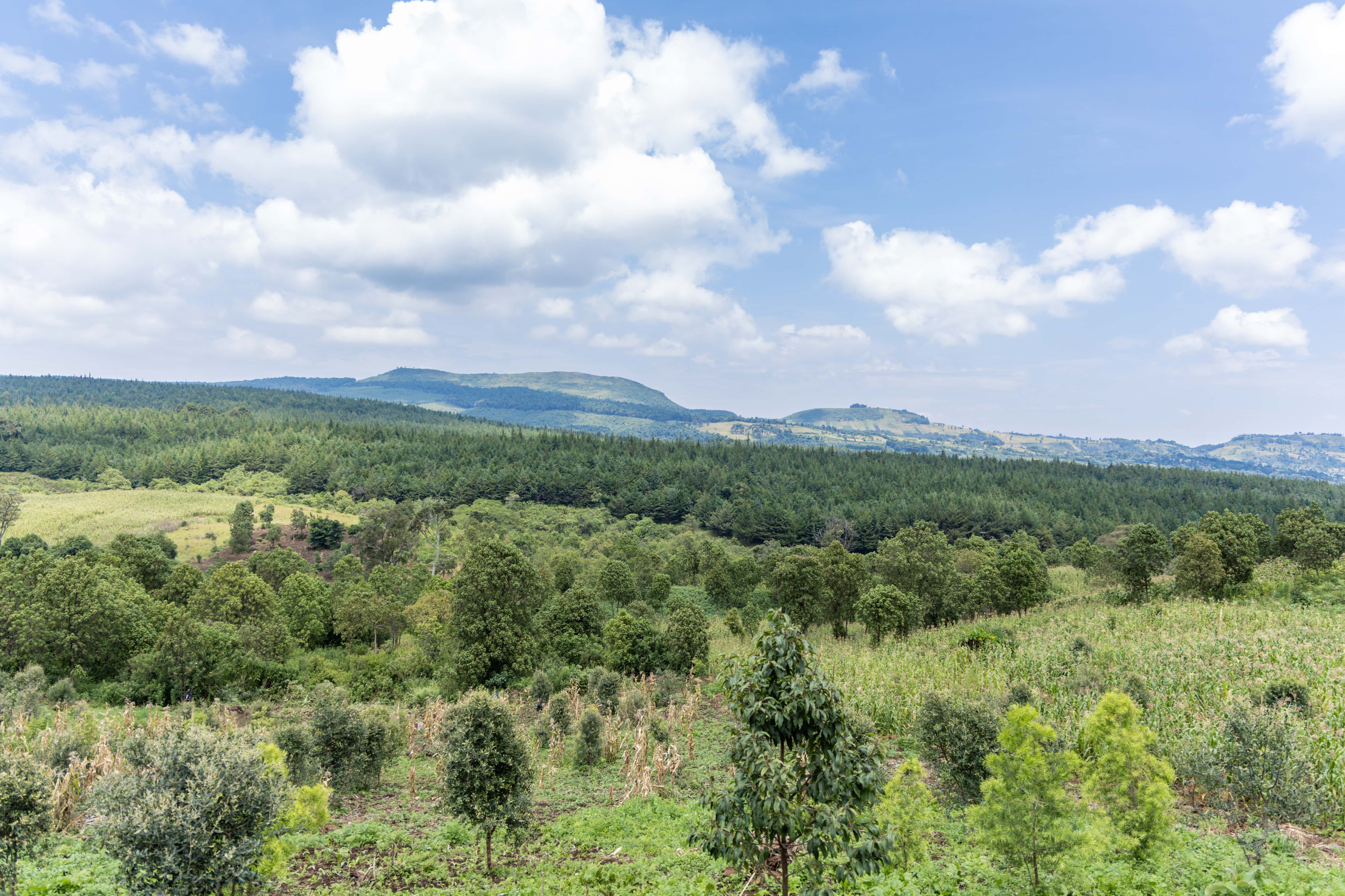 Kenya’s Greater Rift Valley