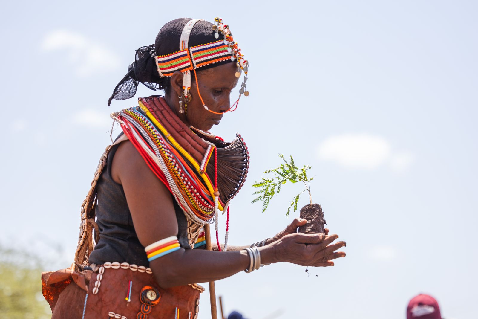 Planting a seedling on restored land.