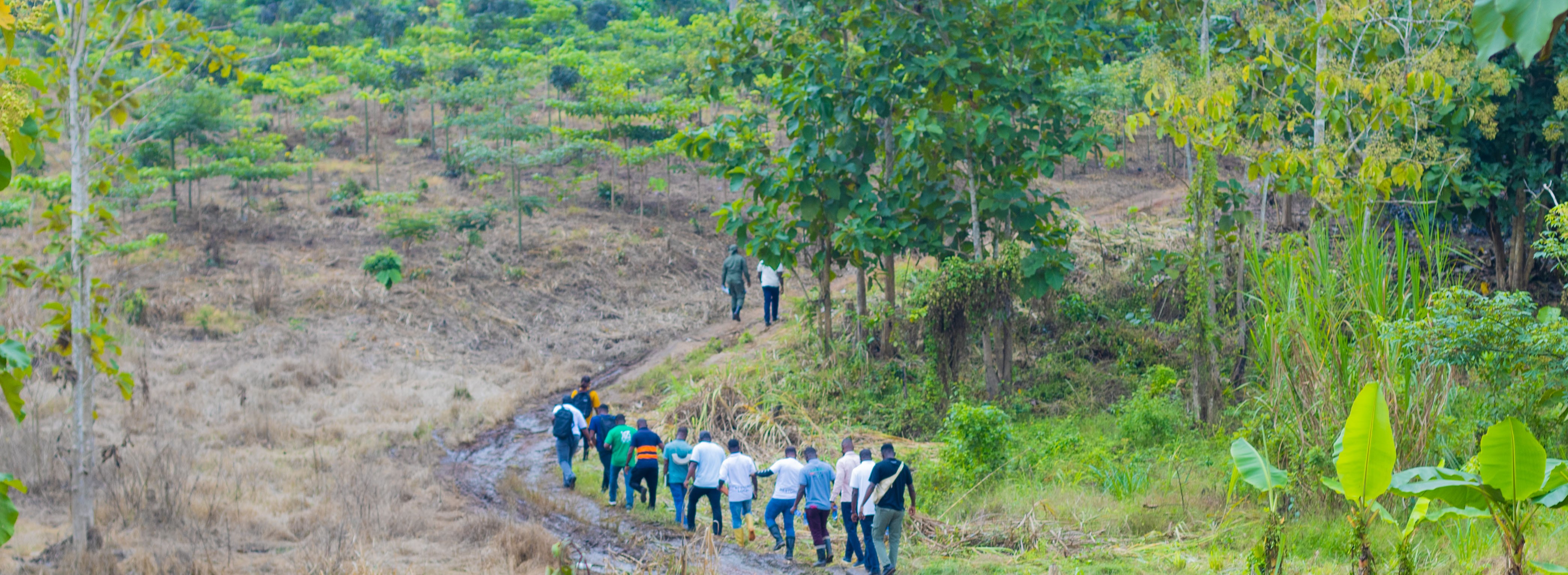 Restoration landscape monitored through field and satellite data