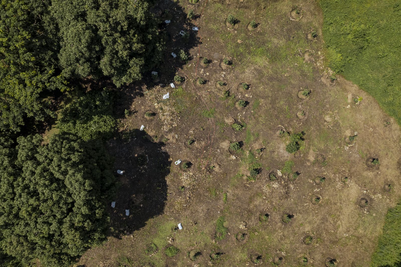 Restoration landscape from above.