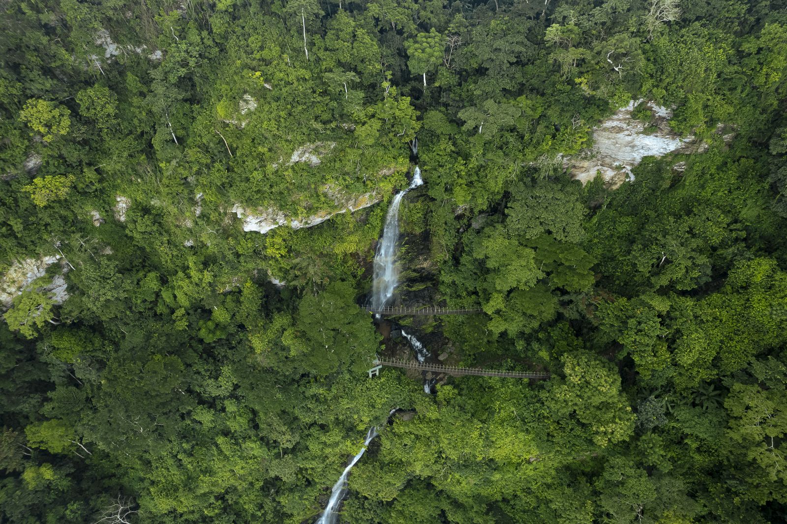 Waterfall through the forest canopy.