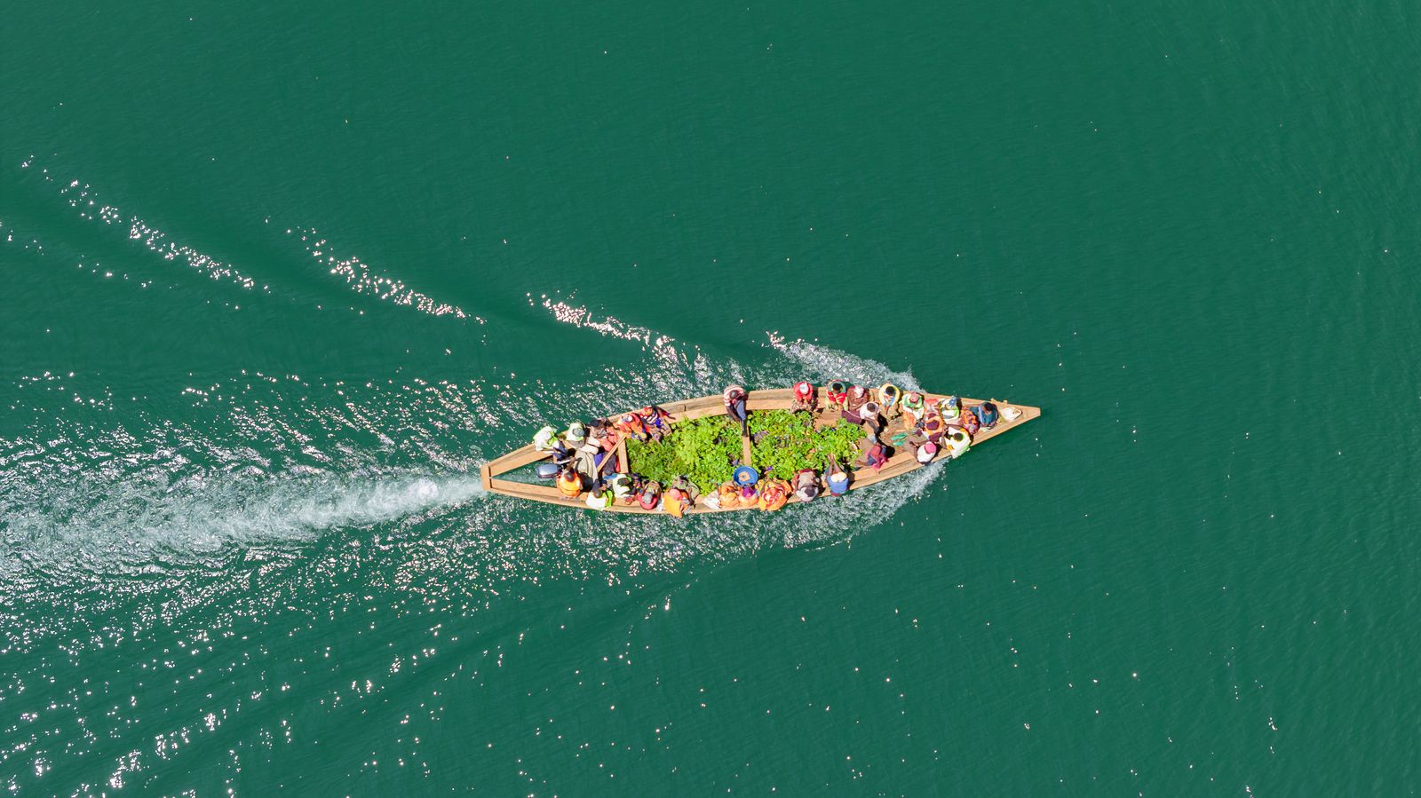 Transporting seedlings along the Rusizi.